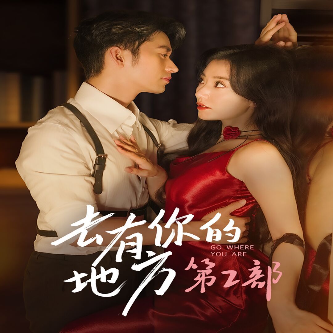 去有你的地方第2部 第21-40集