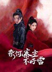 奈何寨主不好当 第11集