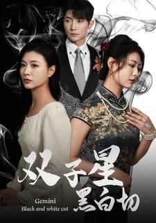 双子星黑白切 第21-40集