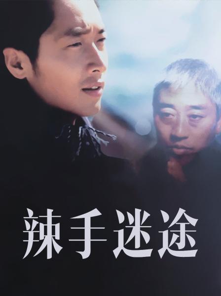 辣手迷途2001(大结局)