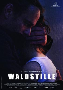 意外Waldstille HD中字(大结局)