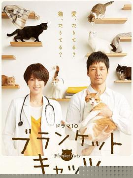 毛毯猫 第01集