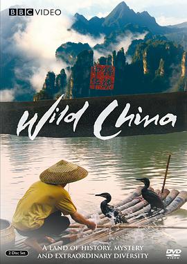 美丽中国2011 第04集