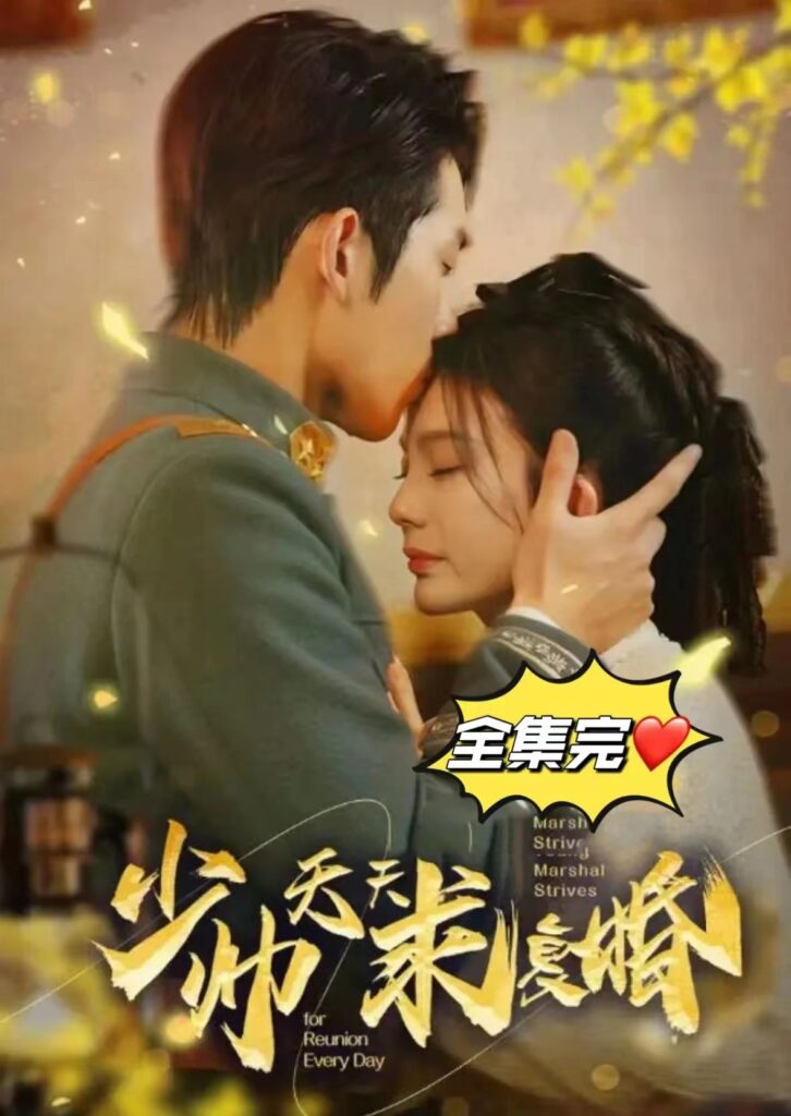 少帅天天求复婚 第41-60集