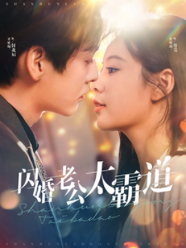 闪婚老公太霸道 第81-100集完结(大结局)