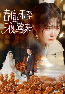 春信不至夜莺来 第21-40集