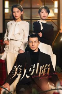 美人引陷 第41-56集完结(大结局)