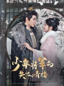 少年将军的失忆小青梅 第61-80集