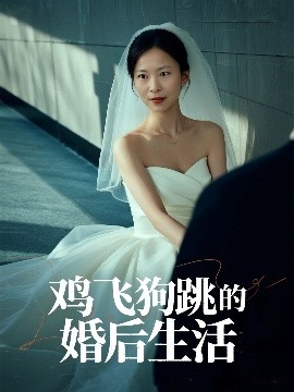 鸡飞狗跳的婚后生活(全集)